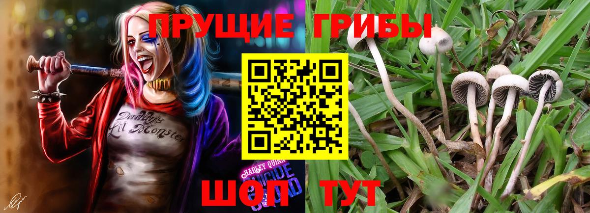 Галлюциногенные грибы мухоморы Усинск