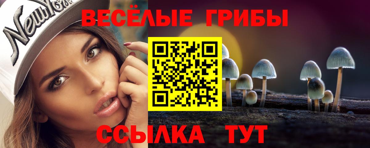 Усинск  Галлюциногенные грибы Cubensis  Вход с VPN 